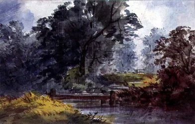Paisaje, con arroyo y árbol